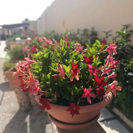 Villarosi Holiday home *